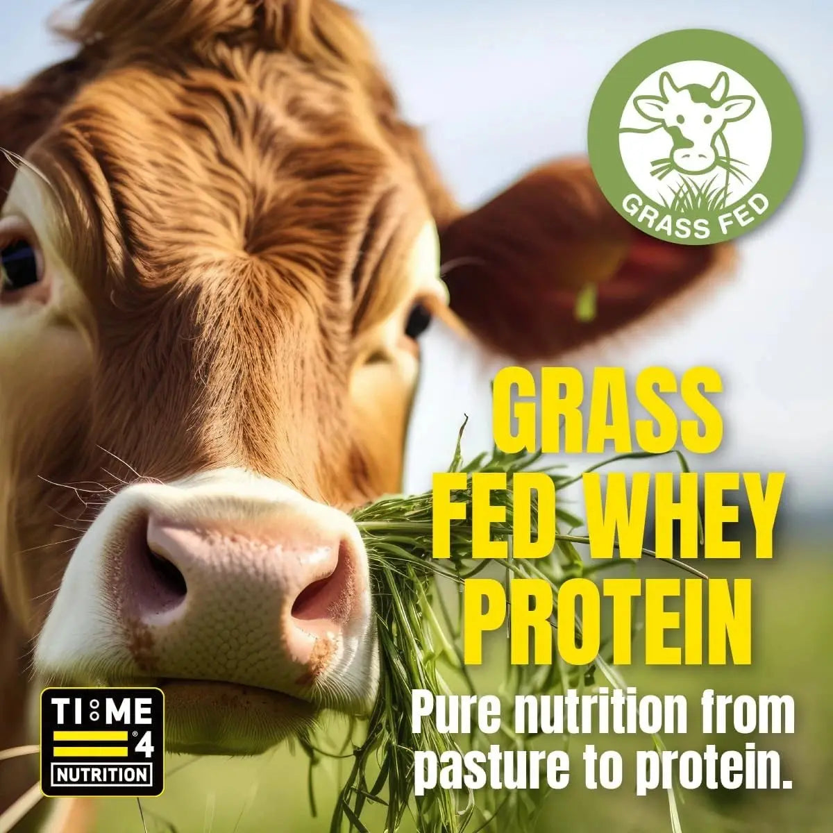 Time 4 Whey Protein Professional 1.8kg